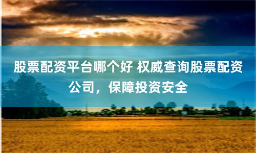 股票配资平台哪个好 权威查询股票配资公司，保障投资安全