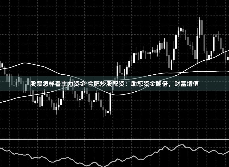股票怎样看主力资金 合肥炒股配资：助您资金翻倍，财富增值
