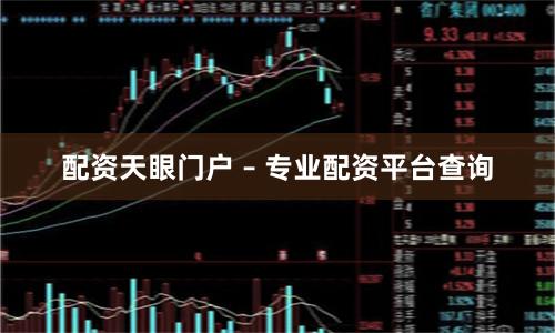配资天眼门户 – 专业配资平台查询