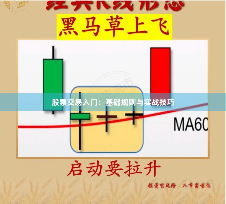 股票交易入门：基础规则与实战技巧