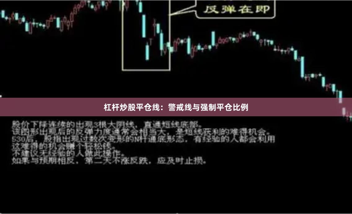 杠杆炒股平仓线：警戒线与强制平仓比例
